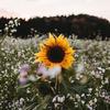 tanya.silver - @tanya.silver - TikTok