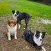 Tanya Sinclair - Facebook