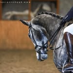 Tanya - @tanya_and_tyson - Instagram