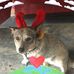 Tanya Tyson - Facebook
