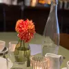Tanya Weeks - @tanyaweeks_8214 - TikTok
