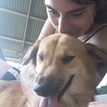 Tanya Winter - @hundehilfe_schau.nicht.weg - Instagram