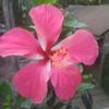 TAPAN.DASH612 - @tapan.dsah - TikTok