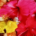 Tapas Mukherjee - @tapa.s1470 - Instagram