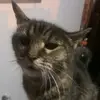 tapptapp - @tapptapp573 - TikTok