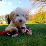Tara Abbey Rose - @evika_65 - Instagram