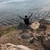 dexter - @abeltara - TikTok