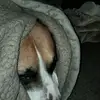 Tara Acosta - @taraacosta8_london_soco - TikTok