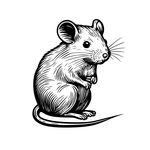 Tara Acton 🐭 - @afriendlikeben - Instagram