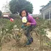 Tara Ahoi - @tara.ahoi - TikTok