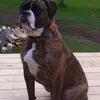 taraaho79 - @taraaho79 - TikTok