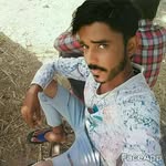 Tara Alam - @taraalam4 - Instagram