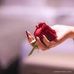 tara ali - Facebook