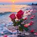 Tara Ali - Facebook