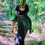 Tara Bachman - @tarabachman - Instagram