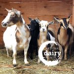 Tara Beckman - @beckmanfarms - Instagram