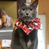 Tara Beckman - @tara_ntula_ - TikTok