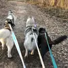 TaraBellaDoni - @tarabelladoni - TikTok