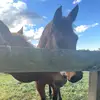 Tara - @tara.blows - TikTok