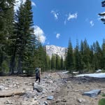 Tara Bilby - @tarabilby - Instagram