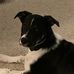 Tara Blanton Hughes - Facebook