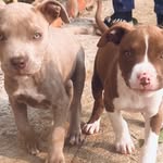 BoBo&TaRa - @bobo_n_tara - Instagram