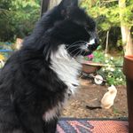 Tara Bock - @bockbockfarm - Instagram