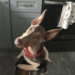 @taraboothequeen - Instagram