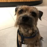 Tara Bourne - @bourne.tara - Instagram