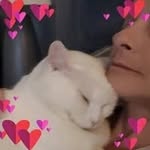Tara Braddock - @braddock.tara - Instagram