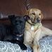 Tara Bragg - Facebook
