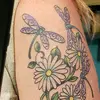 tara.bragg - @tkbdragonfly - TikTok