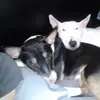 Tara Englbrecht263 - @taraenglbrecht263 - TikTok
