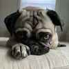 Tara Brock - @tara.brock2 - TikTok