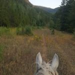 Tara Browning - @two_roads_diverged76 - Instagram