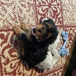 Sasha Buckner - @tara.buckner42 - Instagram