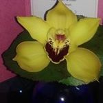 tara burger - @taraburger9 - Instagram