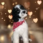 Tara A. Buster - @tara_buster08 - Instagram