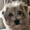 Taracale - @taracale8 - TikTok