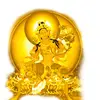 Green Tara - @greentaracanada - TikTok