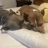 Tara - @canada.tara - TikTok