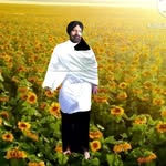 Tara Dhillon Canada - @tara.singh.dhillon - Instagram
