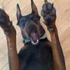 Tara - @taracappello - TikTok