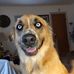 Tera Carrell - Facebook
