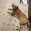 Tara Cason - @taracason819 - TikTok