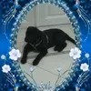 Tara Čater07 - @taracater - TikTok
