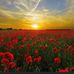 Terry Caton - Facebook