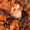 Tara_caudillo - @tara_caudillo - TikTok