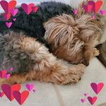 Tara Cecil - @ceciltara - Instagram