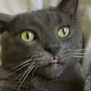 Tori Cederquist - @tori.cederquist - TikTok
